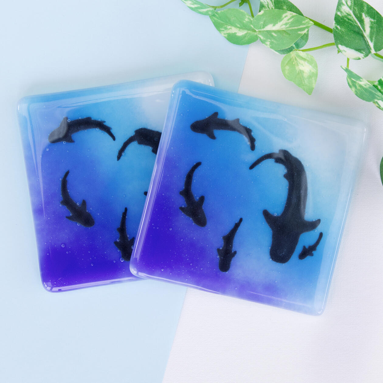Shark Coasters