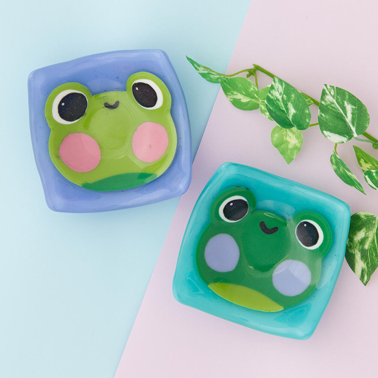 Frog Dishes