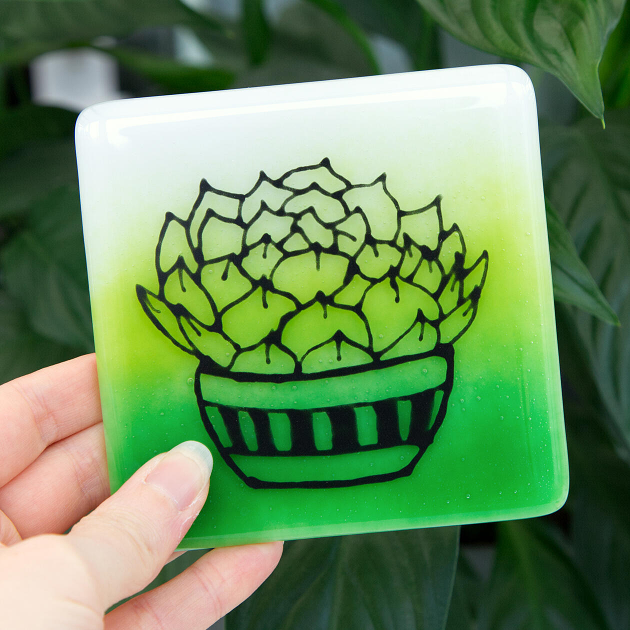 Plant Coaster